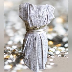 Lumiere Silver Sleeveless Dress Size Small